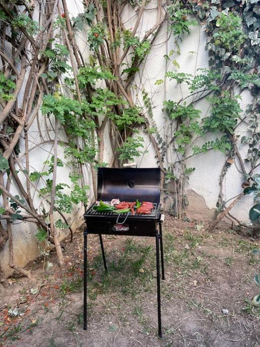 Etage De Villa Avec Jardin, Pres De L'Aireport Et Parking Prive Ariana Luaran gambar