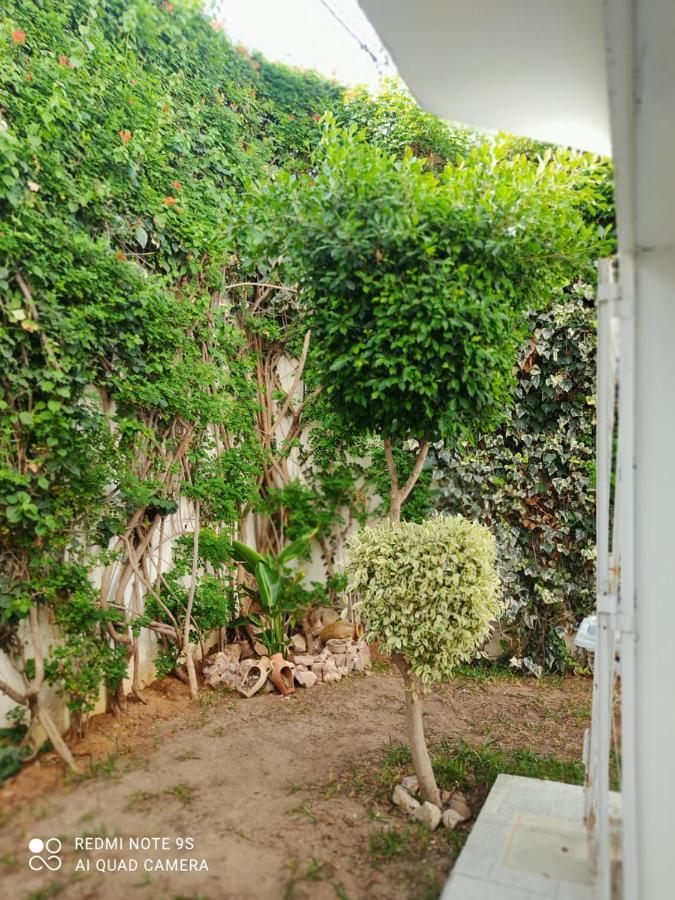 Etage De Villa Avec Jardin, Pres De L'Aireport Et Parking Prive Ariana Luaran gambar