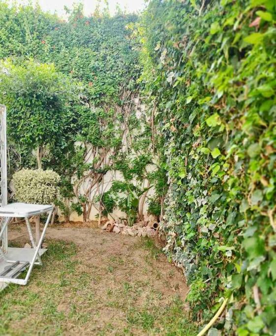 Etage De Villa Avec Jardin, Pres De L'Aireport Et Parking Prive Ariana Luaran gambar